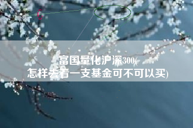 富国量化沪深300(
怎样去看一支基金可不可以买) 富国量化沪深300(
怎样去看一支基金可不可以买)
