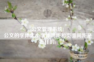公文管理系统(
公文的字体大小字体间距和页面间距是怎样的) 公文管理系统(
公文的字体大小字体间距和页面间距是怎样的)