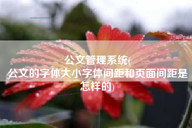 公文管理系统(
公文的字体大小字体间距和页面间距是怎样的) 公文管理系统(
公文的字体大小字体间距和页面间距是怎样的)