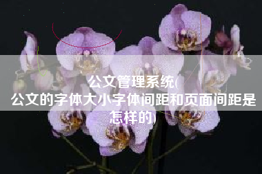 公文管理系统(
公文的字体大小字体间距和页面间距是怎样的) 公文管理系统(
公文的字体大小字体间距和页面间距是怎样的)