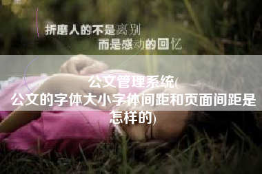 公文管理系统(
公文的字体大小字体间距和页面间距是怎样的) 公文管理系统(
公文的字体大小字体间距和页面间距是怎样的)