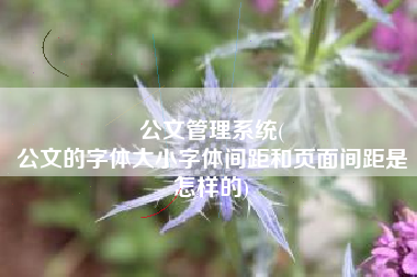 公文管理系统(
公文的字体大小字体间距和页面间距是怎样的) 公文管理系统(
公文的字体大小字体间距和页面间距是怎样的)