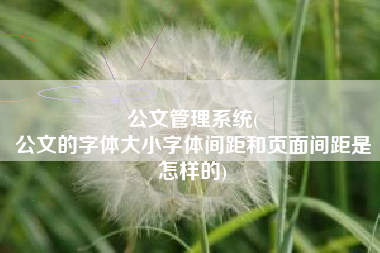 公文管理系统(
公文的字体大小字体间距和页面间距是怎样的) 公文管理系统(
公文的字体大小字体间距和页面间距是怎样的)