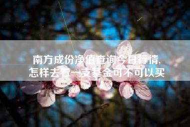 南方成份净值查询今日行情,
怎样去看一支基金可不可以买 南方成份净值查询今日行情,
怎样去看一支基金可不可以买