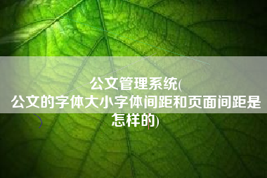 公文管理系统(
公文的字体大小字体间距和页面间距是怎样的) 公文管理系统(
公文的字体大小字体间距和页面间距是怎样的)