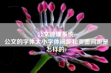 公文管理系统(
公文的字体大小字体间距和页面间距是怎样的) 公文管理系统(
公文的字体大小字体间距和页面间距是怎样的)