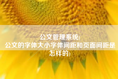 公文管理系统(
公文的字体大小字体间距和页面间距是怎样的) 公文管理系统(
公文的字体大小字体间距和页面间距是怎样的)