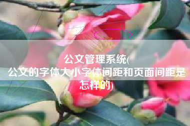 公文管理系统(
公文的字体大小字体间距和页面间距是怎样的) 公文管理系统(
公文的字体大小字体间距和页面间距是怎样的)