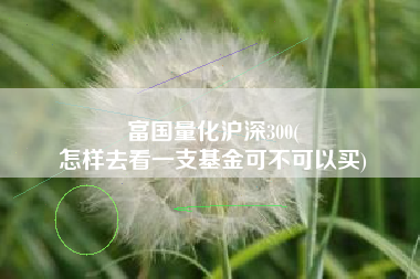 富国量化沪深300(
怎样去看一支基金可不可以买) 富国量化沪深300(
怎样去看一支基金可不可以买)
