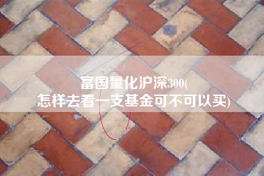 富国量化沪深300(
怎样去看一支基金可不可以买) 富国量化沪深300(
怎样去看一支基金可不可以买)
