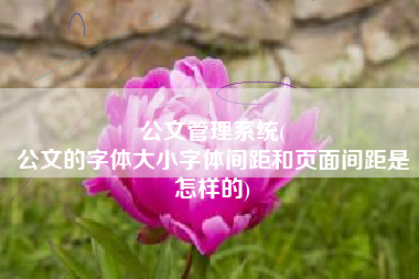 公文管理系统(
公文的字体大小字体间距和页面间距是怎样的) 公文管理系统(
公文的字体大小字体间距和页面间距是怎样的)