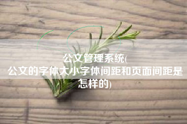 公文管理系统(
公文的字体大小字体间距和页面间距是怎样的) 公文管理系统(
公文的字体大小字体间距和页面间距是怎样的)