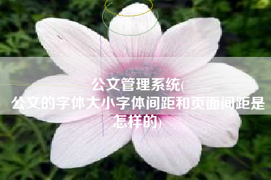 公文管理系统(
公文的字体大小字体间距和页面间距是怎样的) 公文管理系统(
公文的字体大小字体间距和页面间距是怎样的)