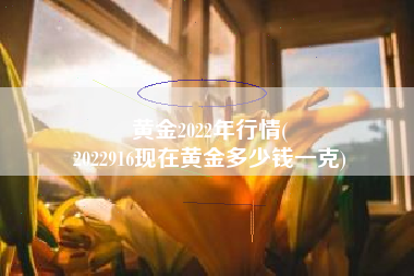 黄金2022年行情(
2022916现在黄金多少钱一克) 黄金2022年行情(
2022916现在黄金多少钱一克)