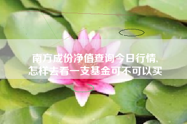 南方成份净值查询今日行情,
怎样去看一支基金可不可以买 南方成份净值查询今日行情,
怎样去看一支基金可不可以买