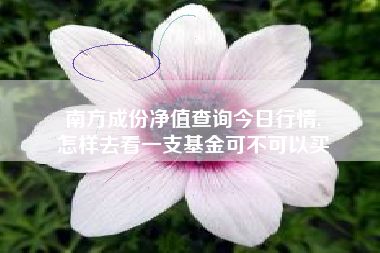 南方成份净值查询今日行情,
怎样去看一支基金可不可以买 南方成份净值查询今日行情,
怎样去看一支基金可不可以买