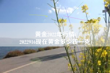 黄金2022年行情(
2022916现在黄金多少钱一克) 黄金2022年行情(
2022916现在黄金多少钱一克)