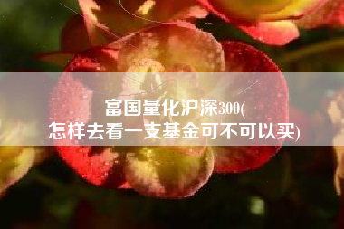 富国量化沪深300(
怎样去看一支基金可不可以买) 富国量化沪深300(
怎样去看一支基金可不可以买)