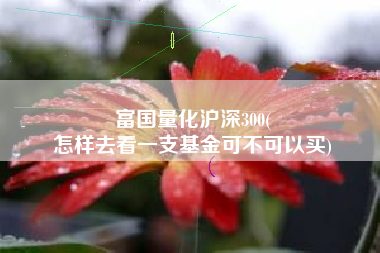 富国量化沪深300(
怎样去看一支基金可不可以买) 富国量化沪深300(
怎样去看一支基金可不可以买)