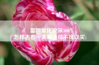 富国量化沪深300(
怎样去看一支基金可不可以买) 富国量化沪深300(
怎样去看一支基金可不可以买)