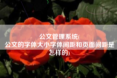 公文管理系统(
公文的字体大小字体间距和页面间距是怎样的) 公文管理系统(
公文的字体大小字体间距和页面间距是怎样的)