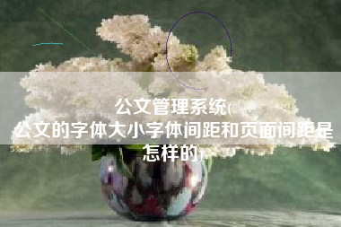公文管理系统(
公文的字体大小字体间距和页面间距是怎样的) 公文管理系统(
公文的字体大小字体间距和页面间距是怎样的)