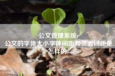 公文管理系统(
公文的字体大小字体间距和页面间距是怎样的) 公文管理系统(
公文的字体大小字体间距和页面间距是怎样的)