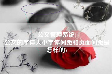 公文管理系统(
公文的字体大小字体间距和页面间距是怎样的) 公文管理系统(
公文的字体大小字体间距和页面间距是怎样的)