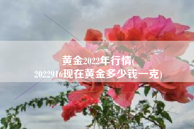 黄金2022年行情(
2022916现在黄金多少钱一克) 黄金2022年行情(
2022916现在黄金多少钱一克)