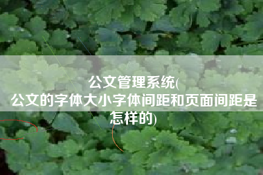 公文管理系统(
公文的字体大小字体间距和页面间距是怎样的) 公文管理系统(
公文的字体大小字体间距和页面间距是怎样的)