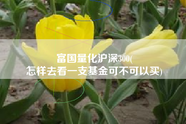 富国量化沪深300(
怎样去看一支基金可不可以买) 富国量化沪深300(
怎样去看一支基金可不可以买)