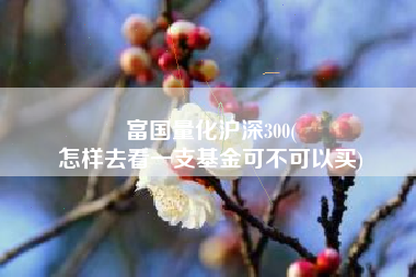 富国量化沪深300(
怎样去看一支基金可不可以买) 富国量化沪深300(
怎样去看一支基金可不可以买)