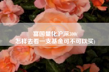富国量化沪深300(
怎样去看一支基金可不可以买) 富国量化沪深300(
怎样去看一支基金可不可以买)
