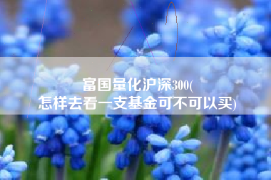 富国量化沪深300(
怎样去看一支基金可不可以买) 富国量化沪深300(
怎样去看一支基金可不可以买)