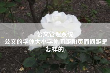 公文管理系统(
公文的字体大小字体间距和页面间距是怎样的) 公文管理系统(
公文的字体大小字体间距和页面间距是怎样的)
