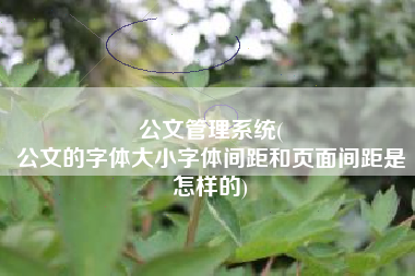 公文管理系统(
公文的字体大小字体间距和页面间距是怎样的) 公文管理系统(
公文的字体大小字体间距和页面间距是怎样的)
