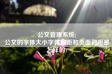 公文管理系统(
公文的字体大小字体间距和页面间距是怎样的) 公文管理系统(
公文的字体大小字体间距和页面间距是怎样的)