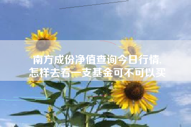 南方成份净值查询今日行情,
怎样去看一支基金可不可以买 南方成份净值查询今日行情,
怎样去看一支基金可不可以买