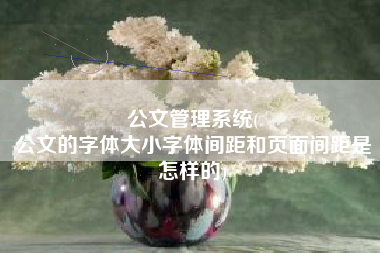 公文管理系统(
公文的字体大小字体间距和页面间距是怎样的) 公文管理系统(
公文的字体大小字体间距和页面间距是怎样的)