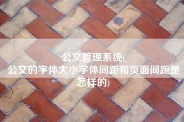 公文管理系统(
公文的字体大小字体间距和页面间距是怎样的) 公文管理系统(
公文的字体大小字体间距和页面间距是怎样的)