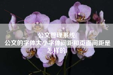 公文管理系统(
公文的字体大小字体间距和页面间距是怎样的) 公文管理系统(
公文的字体大小字体间距和页面间距是怎样的)