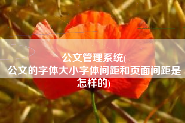 公文管理系统(
公文的字体大小字体间距和页面间距是怎样的) 公文管理系统(
公文的字体大小字体间距和页面间距是怎样的)