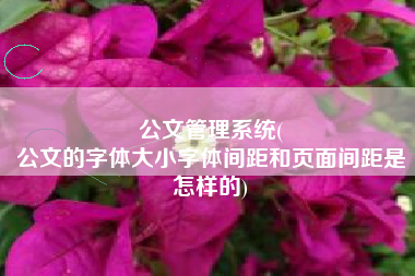 公文管理系统(
公文的字体大小字体间距和页面间距是怎样的) 公文管理系统(
公文的字体大小字体间距和页面间距是怎样的)