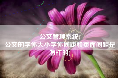公文管理系统(
公文的字体大小字体间距和页面间距是怎样的) 公文管理系统(
公文的字体大小字体间距和页面间距是怎样的)