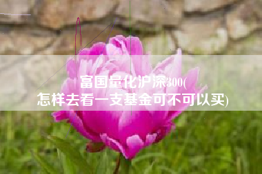 富国量化沪深300(
怎样去看一支基金可不可以买) 富国量化沪深300(
怎样去看一支基金可不可以买)