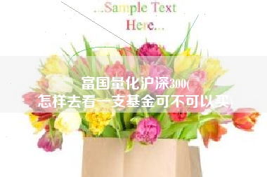 富国量化沪深300(
怎样去看一支基金可不可以买) 富国量化沪深300(
怎样去看一支基金可不可以买)