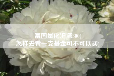 富国量化沪深300(
怎样去看一支基金可不可以买) 富国量化沪深300(
怎样去看一支基金可不可以买)