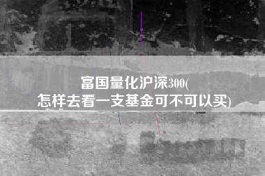 富国量化沪深300(
怎样去看一支基金可不可以买) 富国量化沪深300(
怎样去看一支基金可不可以买)