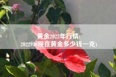 黄金2022年行情(
2022916现在黄金多少钱一克) 黄金2022年行情(
2022916现在黄金多少钱一克)