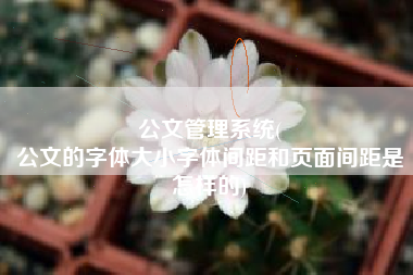 公文管理系统(
公文的字体大小字体间距和页面间距是怎样的) 公文管理系统(
公文的字体大小字体间距和页面间距是怎样的)